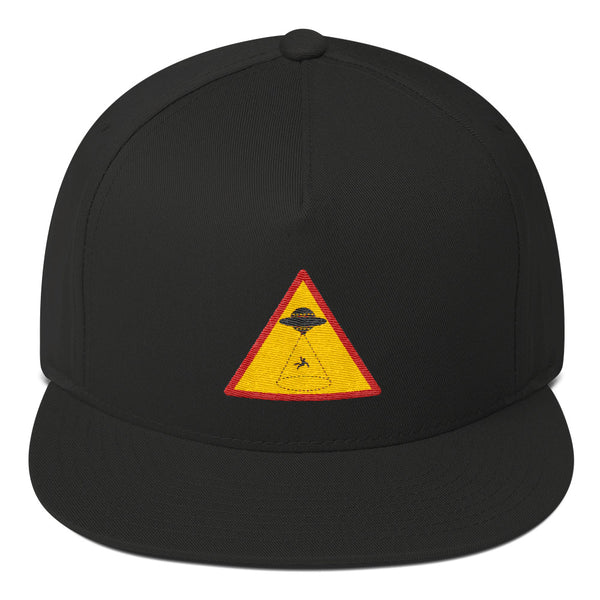 Alien Abduction Area Sign Cap