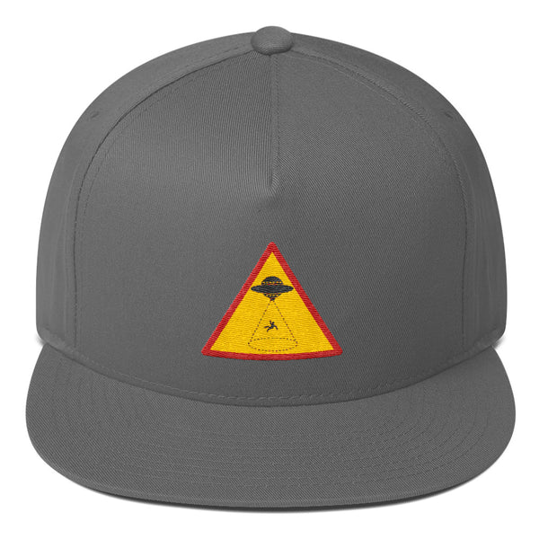 Alien Abduction Area Sign Cap