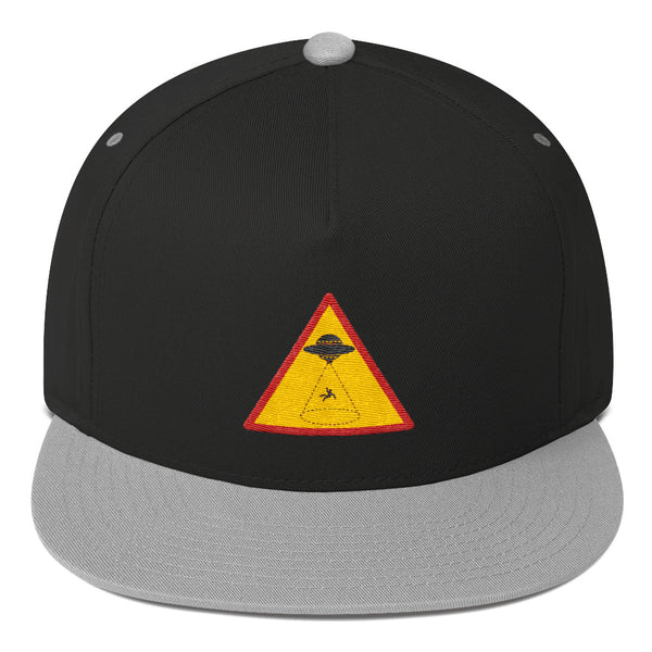 Alien Abduction Area Sign Cap