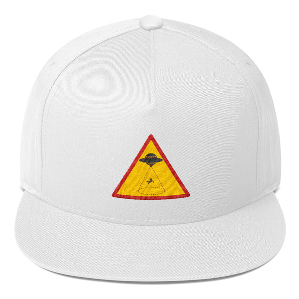 Alien Abduction Area Sign Cap