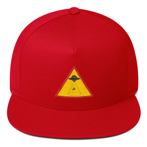 Alien Abduction Area Sign Cap